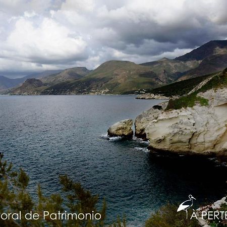 Studio Terremer Daire Patrimonio Dış mekan fotoğraf